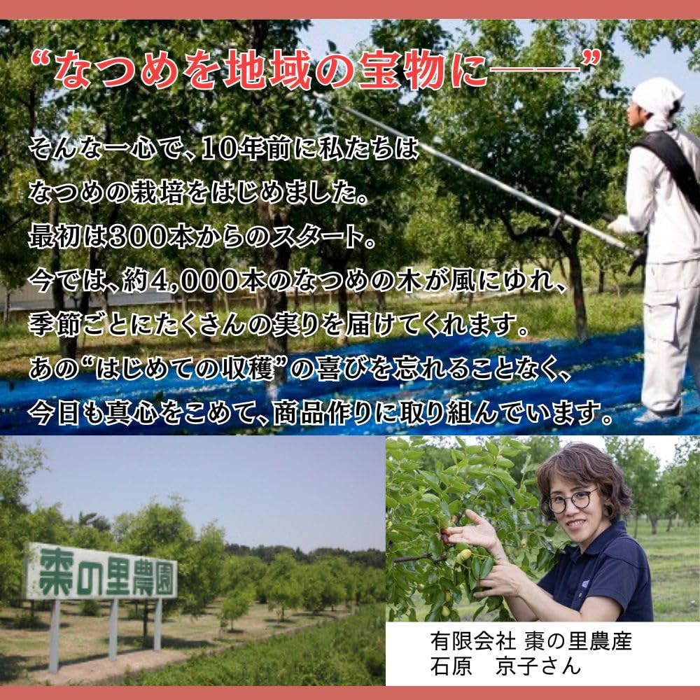 Amazon.co.jp: 棗の里農産 国産 なつめエキス 瓶入 220g 1個 福井県産